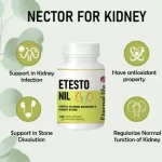 Remove Kidney Stones with the Help of ETESTO NIL